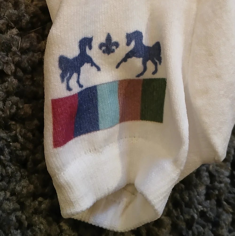 Equestrian Riding Pants - Picture 2 of 12